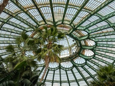 Winter Garden dome interior at the Royal Greenhouses of Laeken